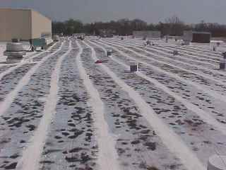 flat roof project