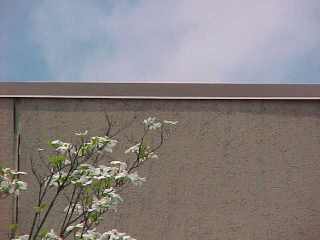 flat roof project