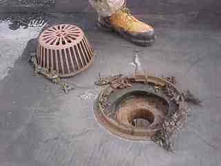flat roof project