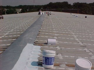Beginning of project