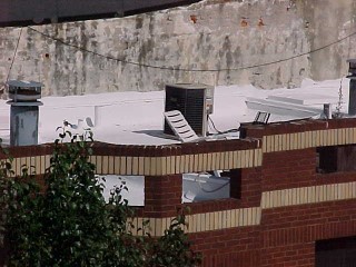 View of roof